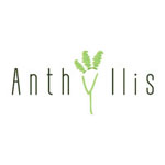 Anthyllis